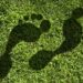 Carbon_footprint