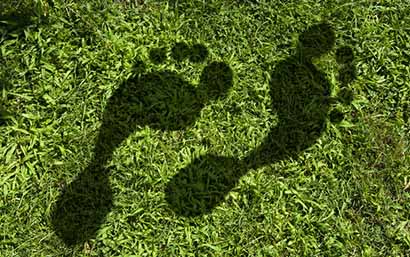 Carbon_footprint