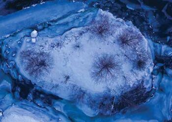 Snowy_island