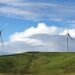 Tralorg_wind_farm