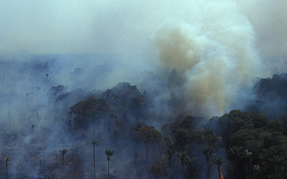 Burinig_Amazon_forest