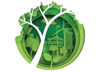 Ecosystem