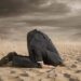 Head_in_the_sand