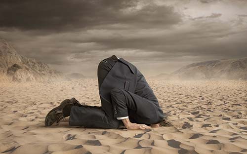 Head_in_the_sand