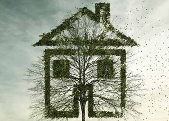 Tree_house