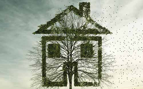 Tree_house