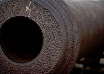 Cannon