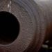Cannon