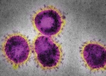 Coronavirus