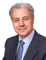 Saker_Nusseibeh