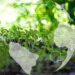 ESG disclosures linked to better private equity fund performance