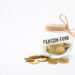 Pension Fund