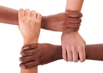 diversity_asset_management