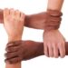 diversity_asset_management