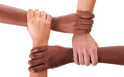 diversity_asset_management