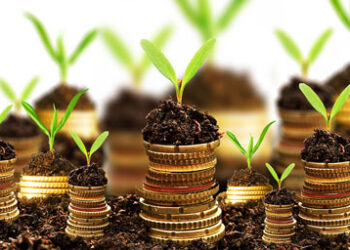 Sustainable investments