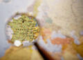 france_asset_management
