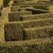 Hedge maze2