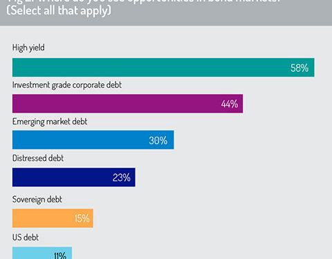 Opportunities_in_bond_markets