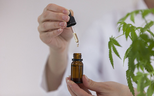 psyhedelic medicine, venture capital