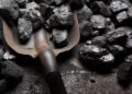 Coal