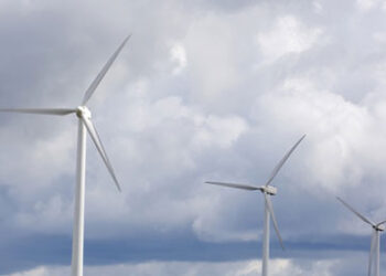 greenwashing