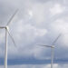 greenwashing