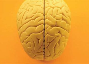 Brain gain