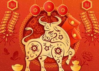 Year of the Ox