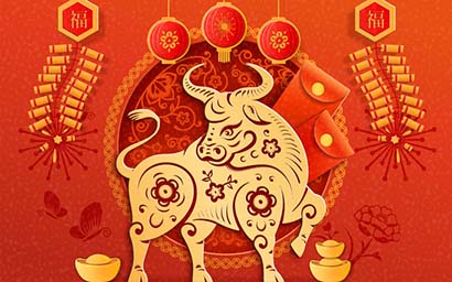 Year of the Ox