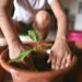 Plant_growth