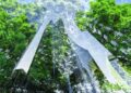 Green_City_of_London