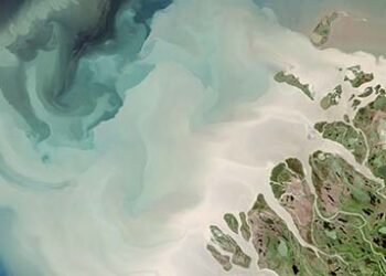 River_delta