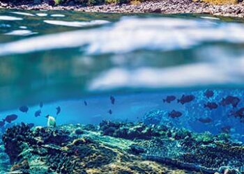 Under_water