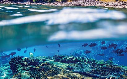 Under_water