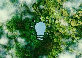 Sponsored feature: Scaling up sustainable solutions