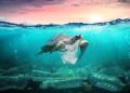 Lies, damn lies and diluted ESG metrics