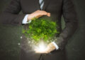 Sustainability officer