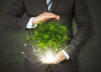 Sustainability officer