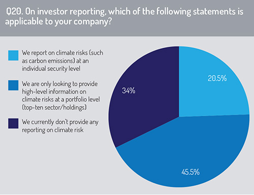 Investor_reporting
