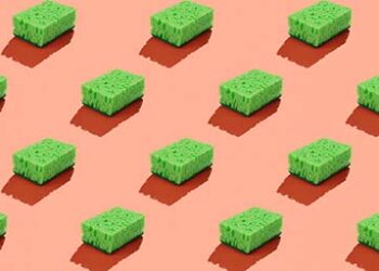 Sponges