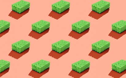 Sponges