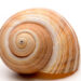 Specialist Fund Admin: BEPS tax regime leaves private equity in a quandary over substance
