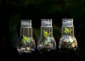 Biodiversity
