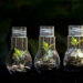 Biodiversity
