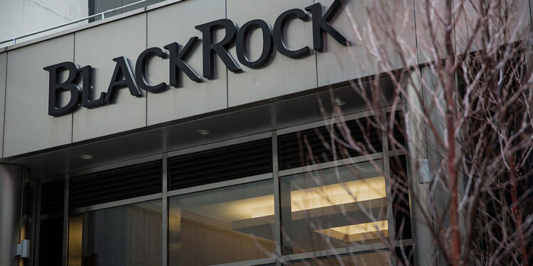 Blackrock_Medium