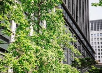 Sustainable, Goldman Sachs, fund