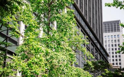 Sustainable, Goldman Sachs, fund