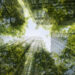 Climate_Large