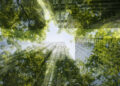 Climate_Large